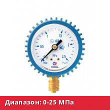 ТМ-210Р.00(0-25MPa)M12x1,5.2,5.O2