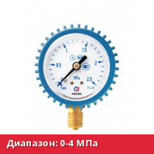 ТМ-210Р.00(0-4MPa)M12x1,5.2,5.C2H2