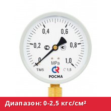ТМ-510Р.00(0-2,5кгс/см²)M20x1,5.1,5.М2