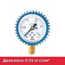 ТМ-210Р.00(0-25кгс/см²)M12x1,5.2,5.Газ. (ч/к)
