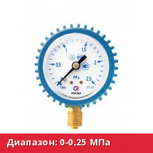 ТМ-210Р.00(0-0,25MPa)M12x1,5.2,5.O2